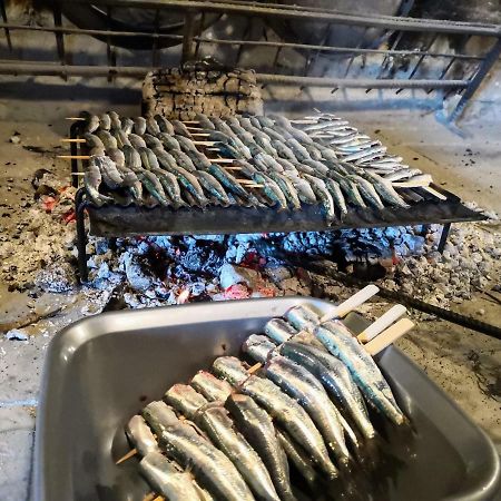 شقة Oaza Zgaljic المظهر الخارجي الصورة